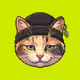 Arrow Cats #2297
