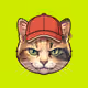 Arrow Cats #2726