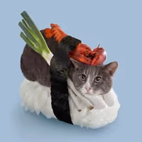 SUSHICAT