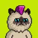 Purr #6466