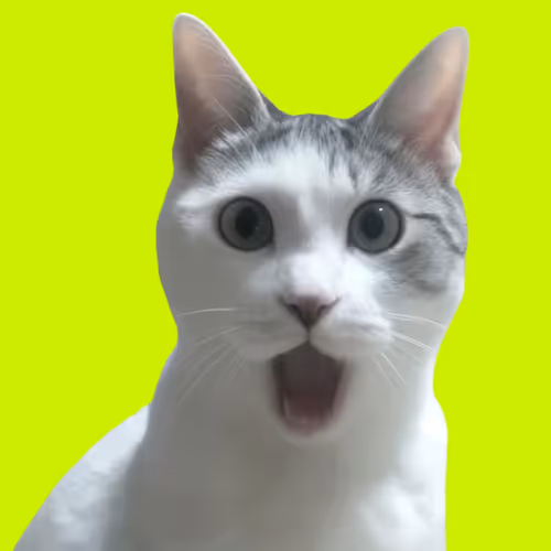 OMG