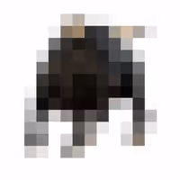 MOO