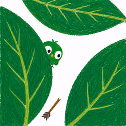 Petiole Protocol