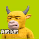 310
