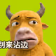 1256