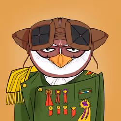 244