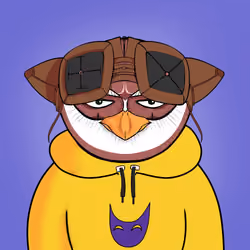 503