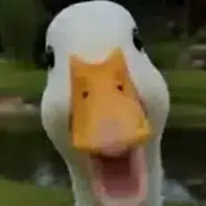 0x0c...