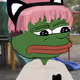 Pepe Maker 1570