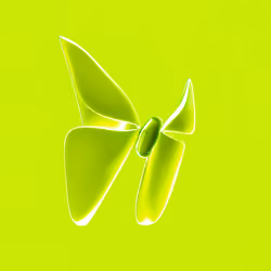 Robinhood Butterfly 