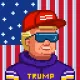 Roo Trump  #852