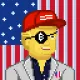Roo Trump  #961