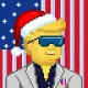 Roo Trump  #862