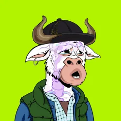 232