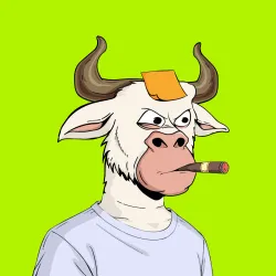 323