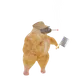 SMOKING CHICKEN FISH 1163