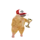 SMOKING CHICKEN FISH 1024