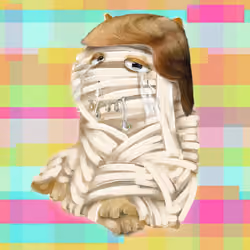 341