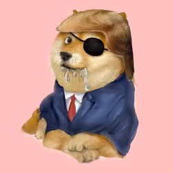 641