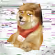 807