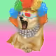772