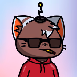 25
