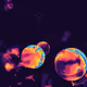 Chromatic Rift