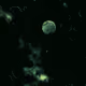 Toxic Green
