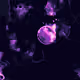 Violet Nova
