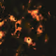252