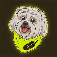 Robinhood Dog · BRODIE