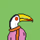 Toucans #233