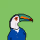 Toucans #1226