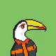 Toucans #1005