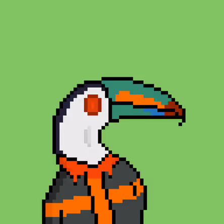 Toucans #479