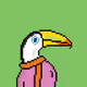 Toucans #1206