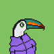 Toucans #1125
