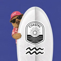 SurfBoard #3161