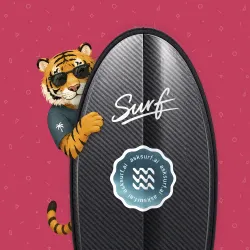 SurfBoard #1287