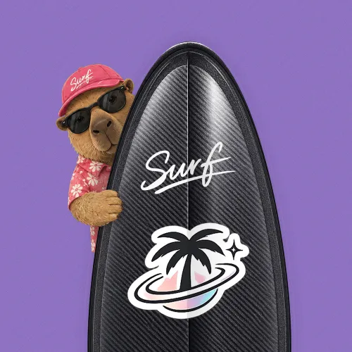 SurfBoard #824