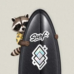 SurfBoard #958