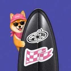 SurfBoard #539
