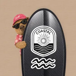 SurfBoard #2261