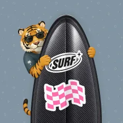 SurfBoard #895
