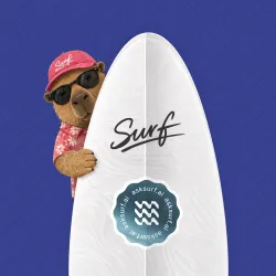 SurfBoard #554