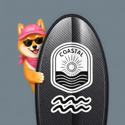 SurfBoard #3510