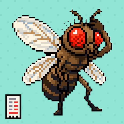 Common Fly #750