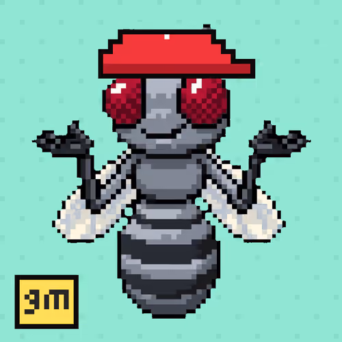 Rare Fly #808