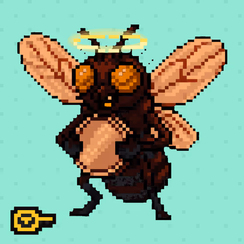 Rare Fly #751