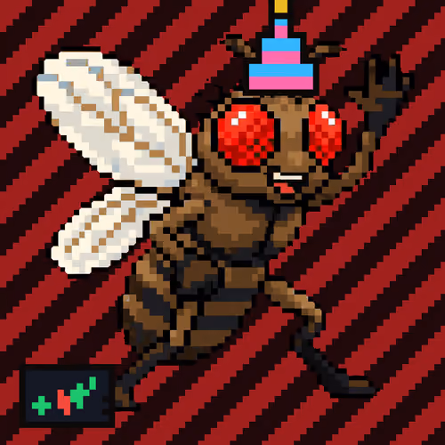 Common Fly #899